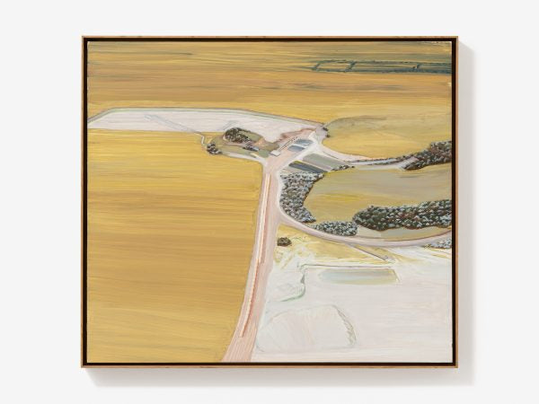 Home from Above: Capturing Aerial Views in the Style of Carol Rhodes WKEND 22nd Nov