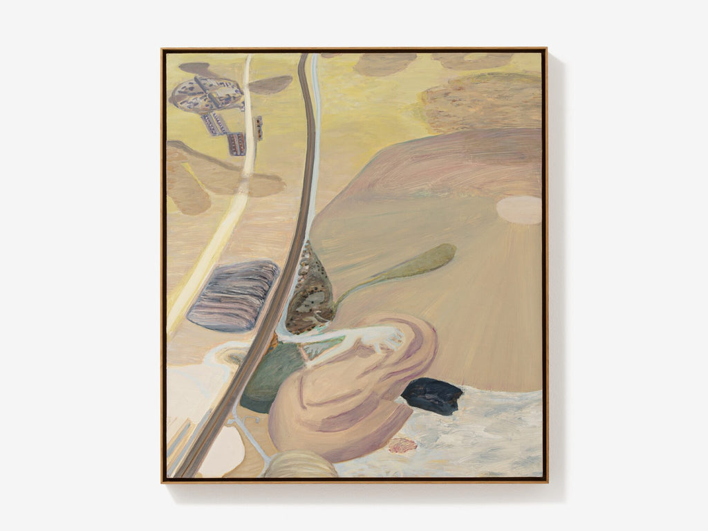 Home from Above: Capturing Aerial Views in the Style of Carol Rhodes WKEND 22nd Nov