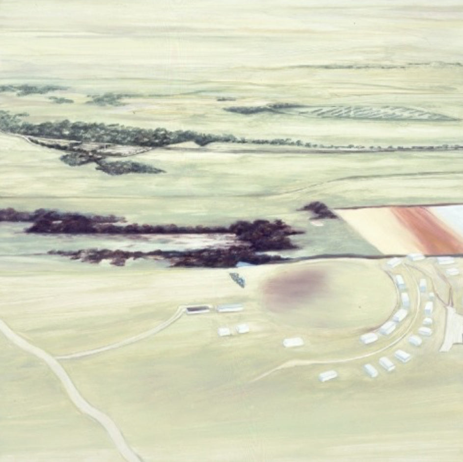 Home from Above: Capturing Aerial Views in the Style of Carol Rhodes WKEND 22nd Nov
