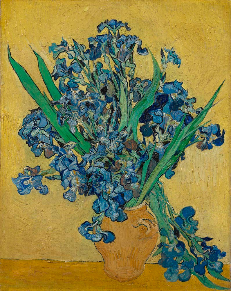 🌻 Colour and Vincent | Flower Drawing Class | 5th April🌻
