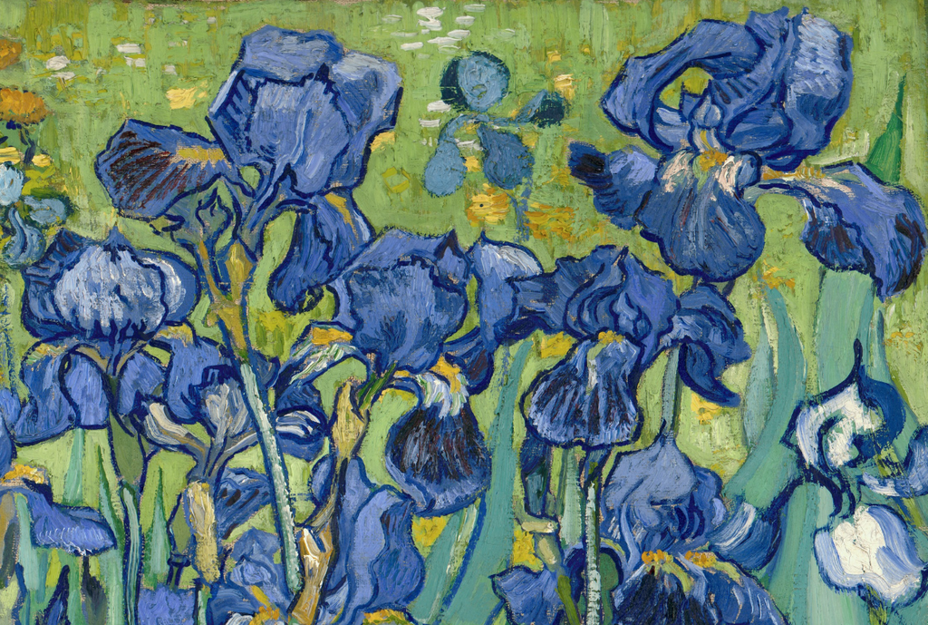 🌻 Colour and Vincent | Flower Drawing Class | 5th April🌻