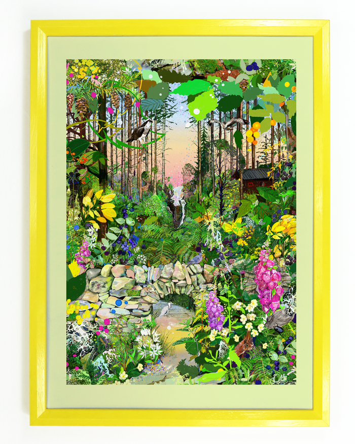 Forest