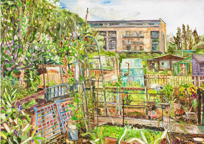 SJSM Allotments - Limited Edition Print