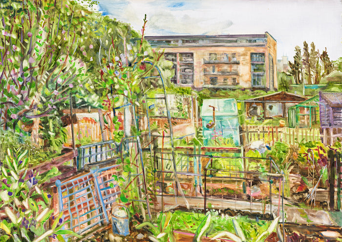 SJSM Allotments - Limited Edition Print