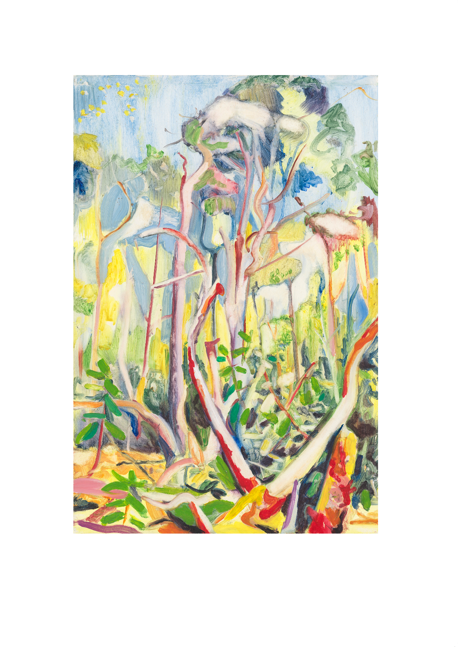 No 52 Pollok Park - Limited Edition Print